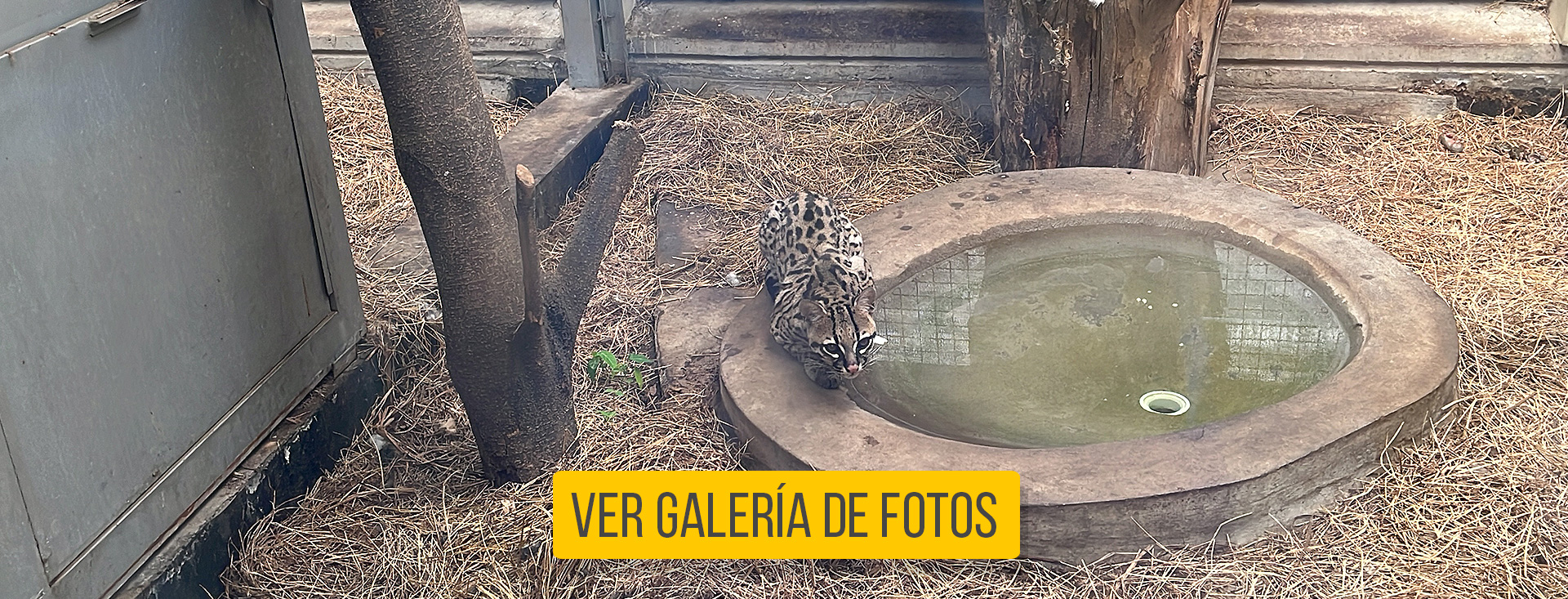 Centro de Atención Fauna y Flora