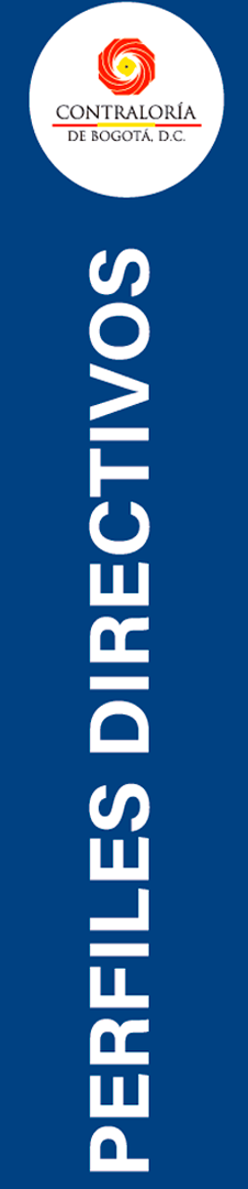 Banner lateral Perfiles Directivos