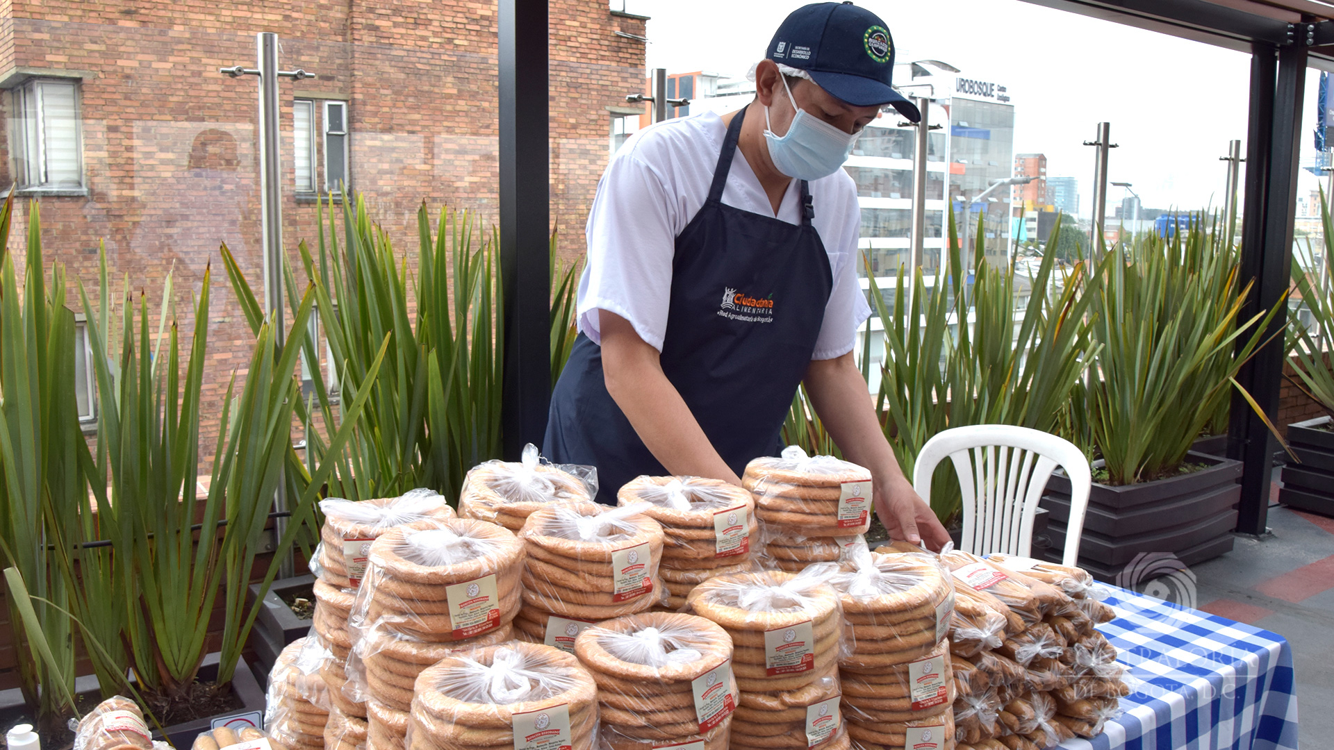 Mercados campesinos