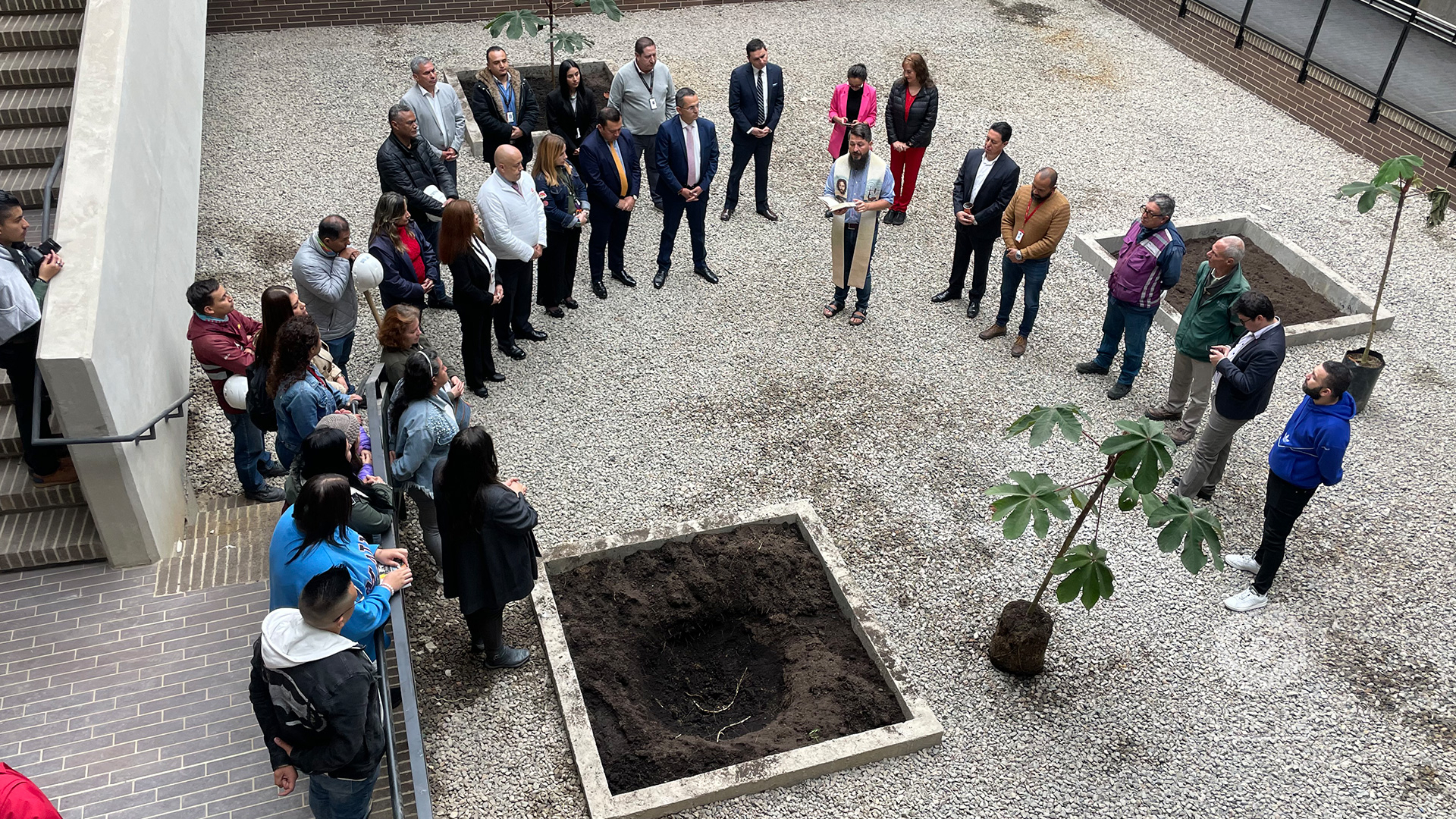 Yarumo es el nuevo árbol con el que se hace homenaje a fallecidos por pandemia