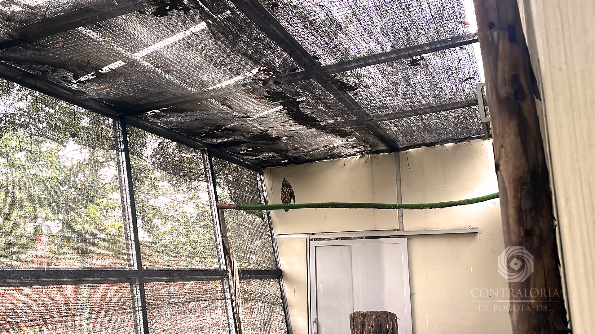 Centro de Atención Fauna y Flora