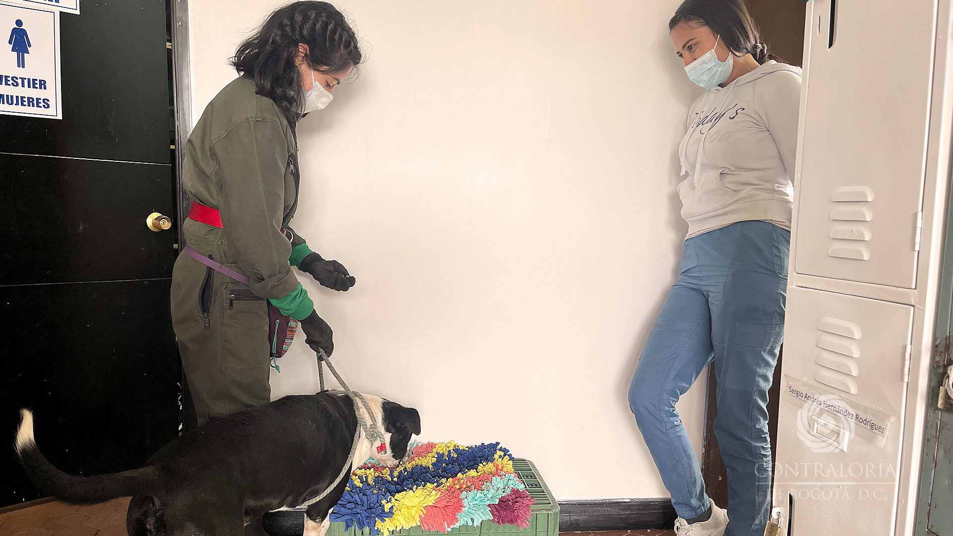 Unidad de Cuidado Animal
