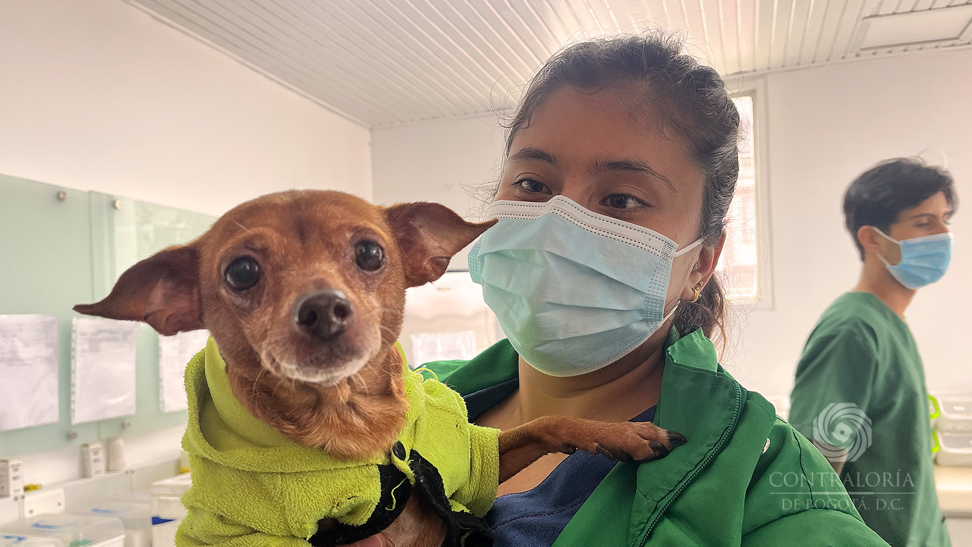 Unidad de Cuidado Animal