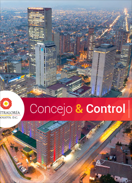 Concejo & Control 33 febrero 2017