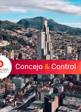 Concejo & Control 46 abril- junio 2020