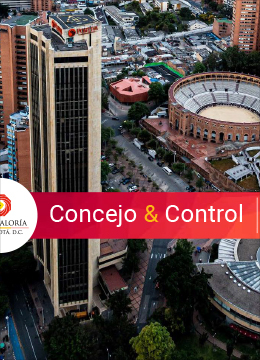 Concejo & Control 47 julio-septiembre 2020