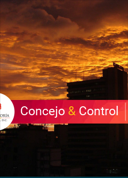 Concejo & Control 48 octubre-diciembre 2020