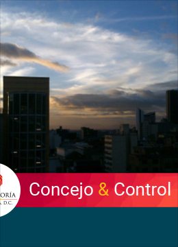 Concejo & Control 49 enero-marzo 2021