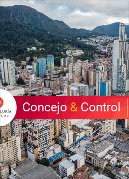 Concejo & Control 51 julio-septiembre 2021