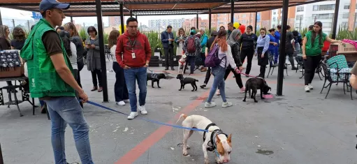 Imagen de la primera jornada de adopción de mascotas en la Contraloría de Bogotá